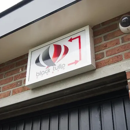 Black Tulip Studio * Leiden